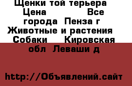 Щенки той терьера › Цена ­ 10 000 - Все города, Пенза г. Животные и растения » Собаки   . Кировская обл.,Леваши д.